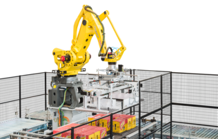 Pegasus Layer | © OCME